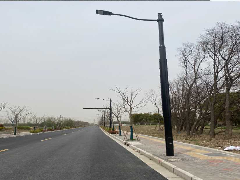 琼中黎族苗族自治县上海综合杆 太阳能路灯工程